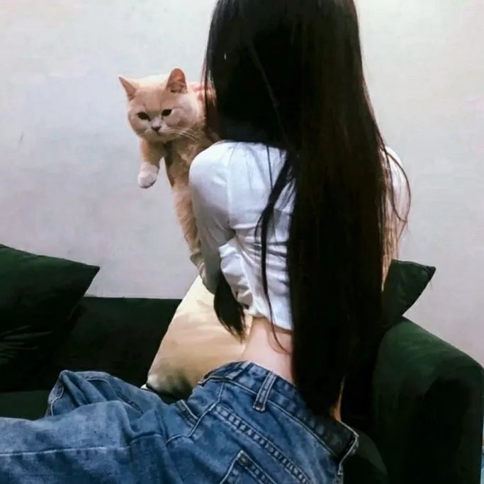 吉屋